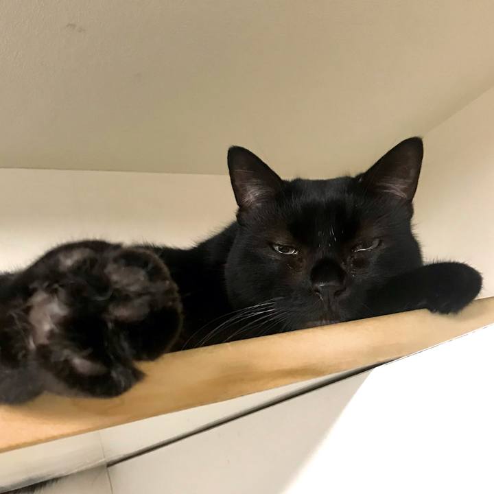 4045a574 a4ed 43d6 b96b 7f48b51d91d5 1622822854548