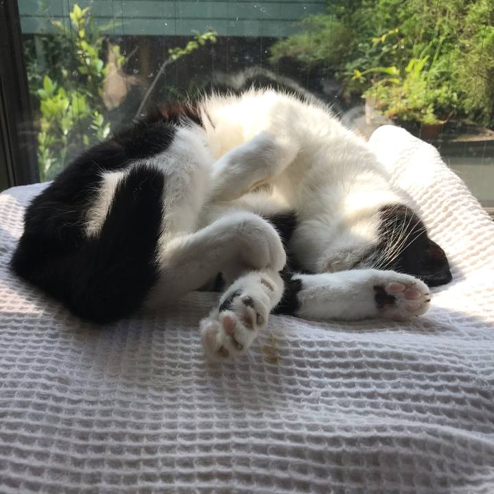 4045bc00 743a 4f69 ac01 a64db7adf6ca 1568693589169