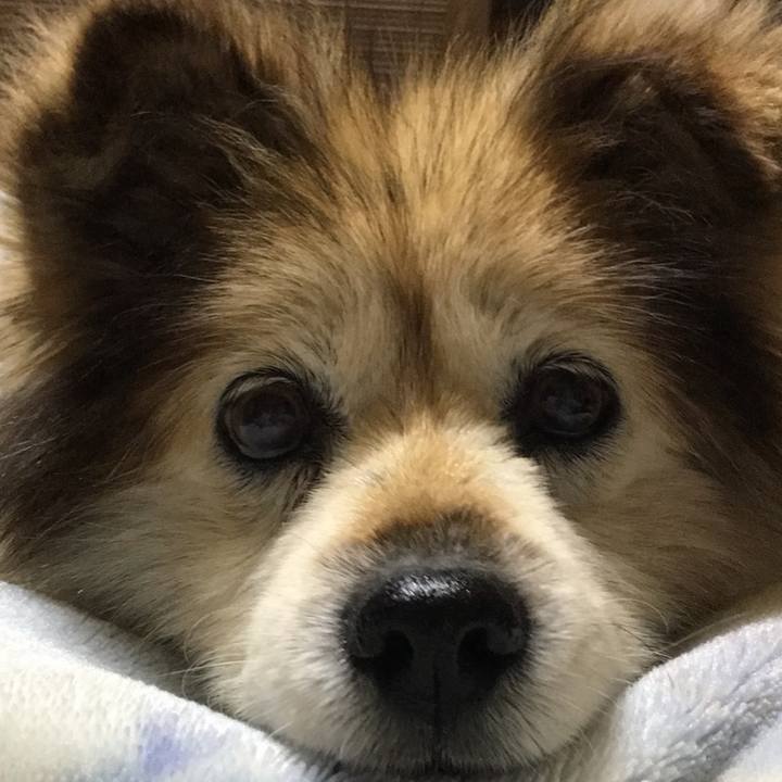 4045e15d 40d9 405c 8f3c e41c70688b56 1575953897476