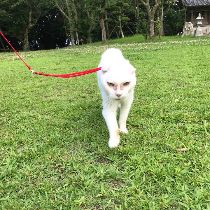 4046111b 7662 46da 999a 204280368d77 1532268875630