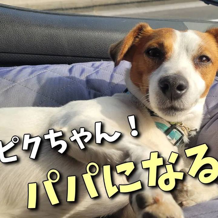 40461259 a9da 4b7b 8225 f76373fdc721 1685357207140