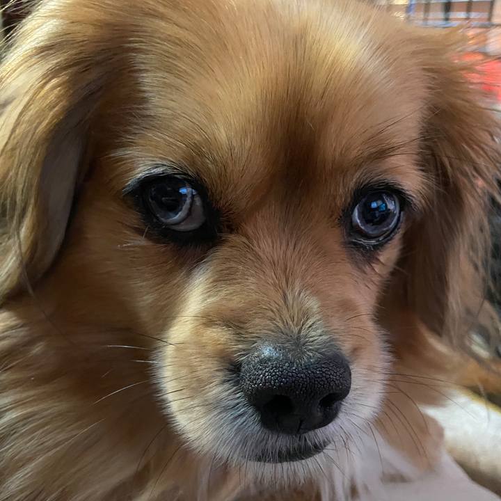 40467652 ef9e 494d 8499 c76b65d1c4c4 1646861756664