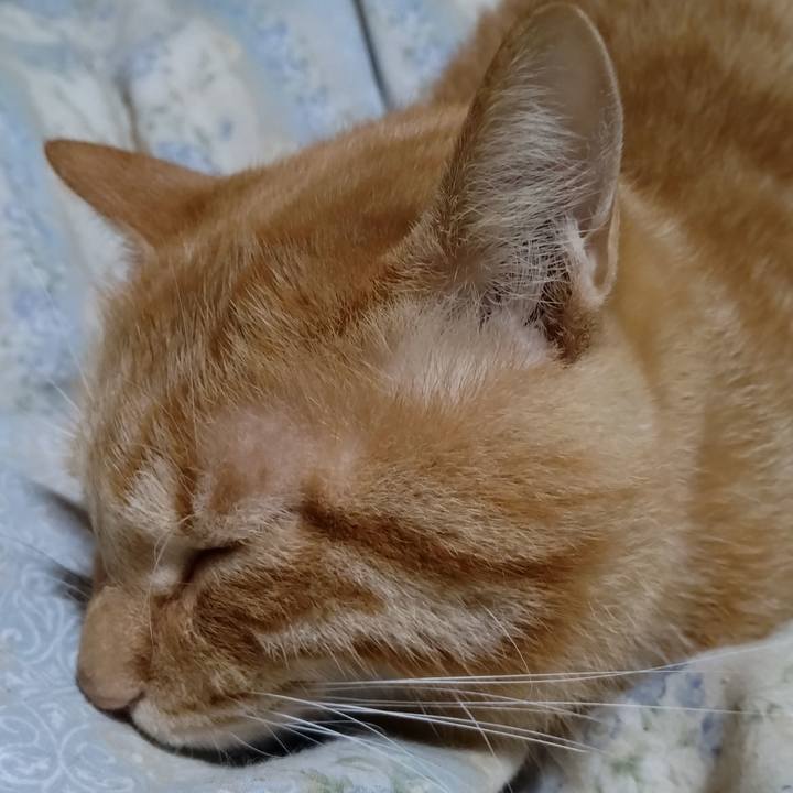 40468cba cfcd 481a 94b3 ce550dd54a4e 1666447301766