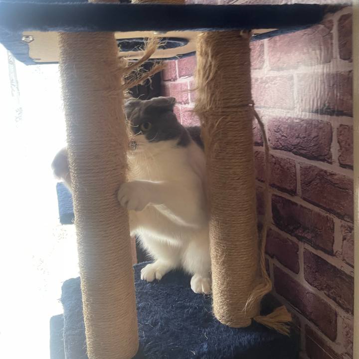 40471e41 ff0e 4f67 a5d7 e55aa9d6671e 1726633622754