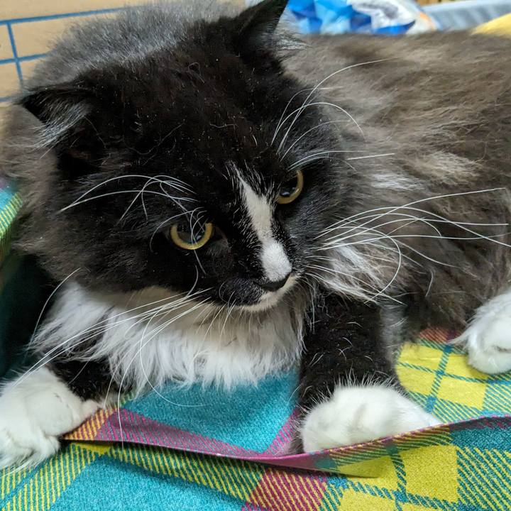 40473d8a 639b 47a3 bc99 cd2b6bf0caa6 1691283585670