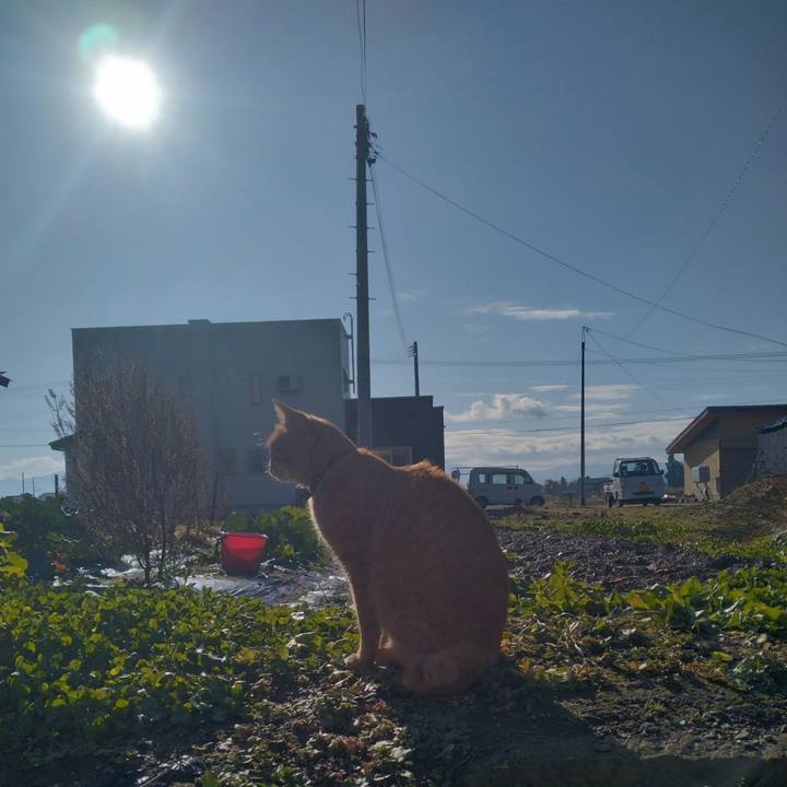 40477e12 a727 4e2b b85c 65c0700d23a7 1670816702703