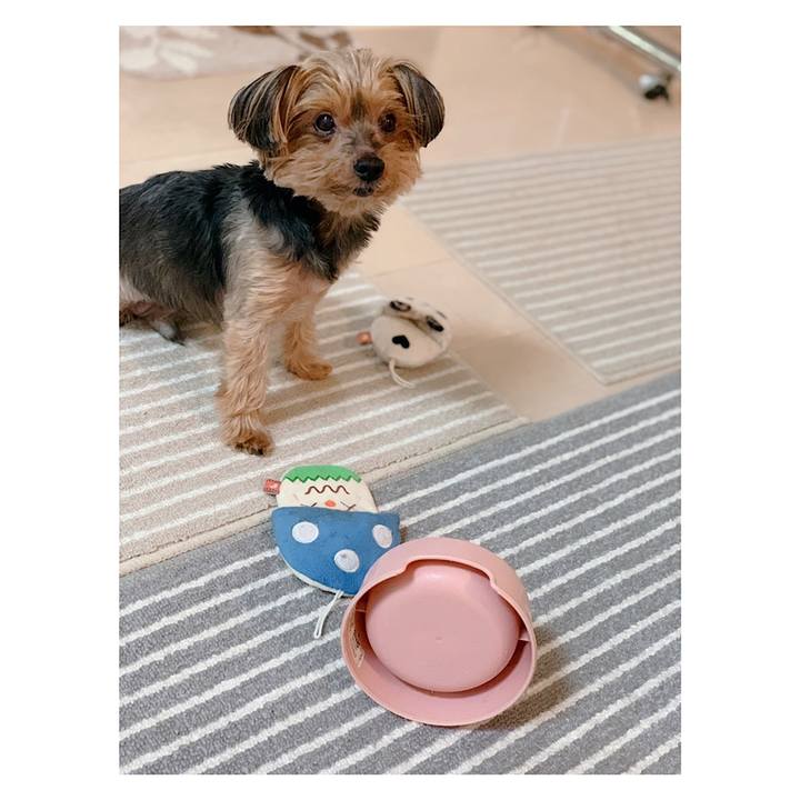 4047c871 d7c8 486d ad5c 624d4075d236 1604704091526