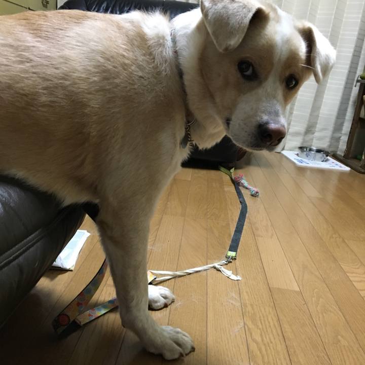 4047d17e 41b4 4224 aaeb 5a6f29e25125 1539615897001