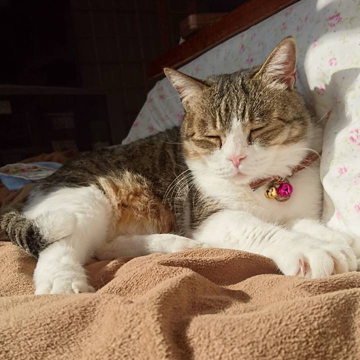 4047ed05 9b44 4bef acda 2ff16fc67a08 1547438989131