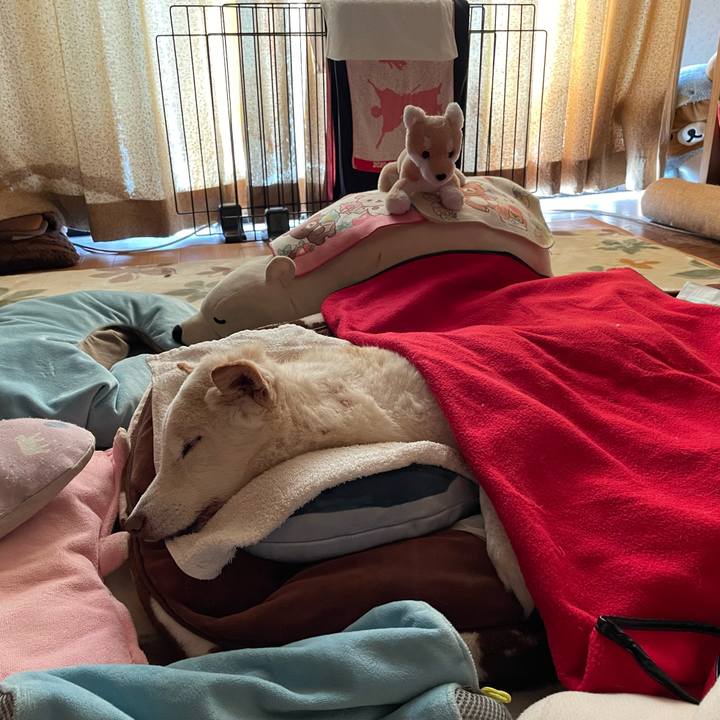 4048292a 5fe7 474c b79e 5b7986edd287 1679957778181