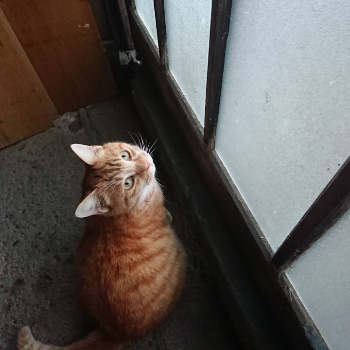 40483197 6bbd 4d9d a30d d2f459c090ab 1606548122373