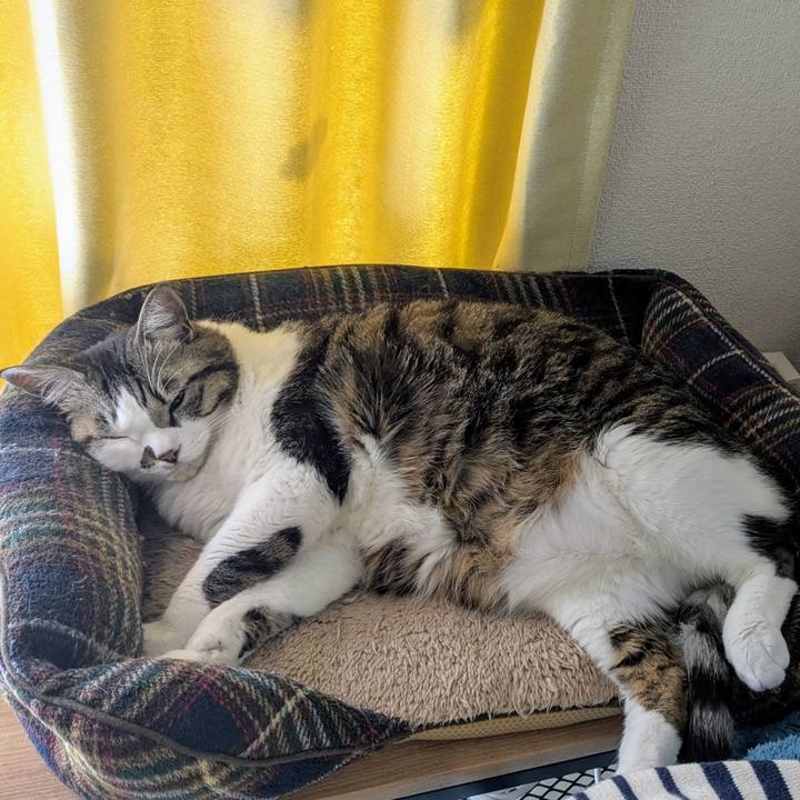 404833b1 e546 4940 a799 a456f68bceac 1739673846659