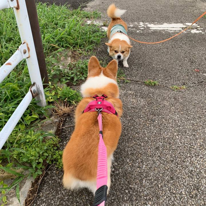 40485505 7231 4bde 90d4 6e123f9f3791 1722048812158