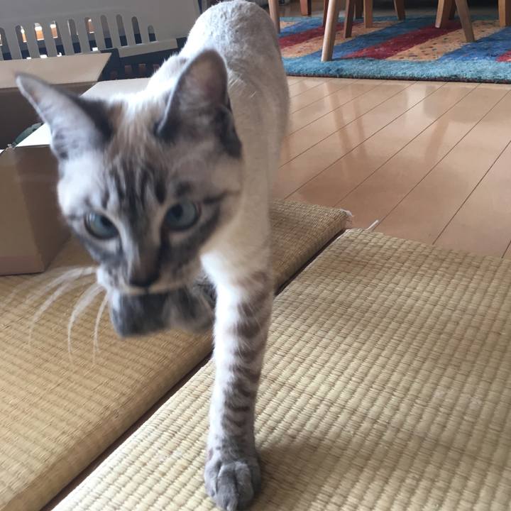 40485bd8 28af 41fa 866a 183d714c18a6 1548987144942