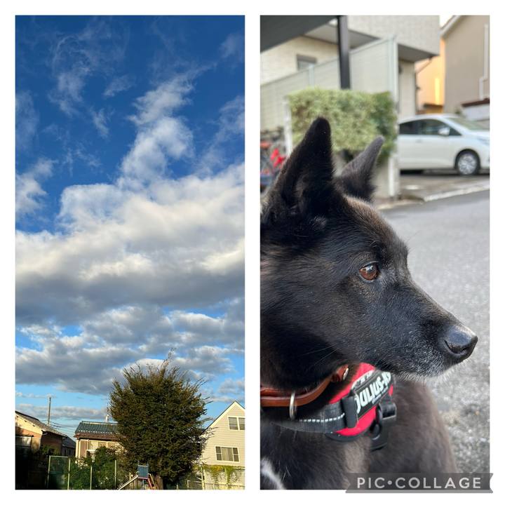 4048a645 eef7 40e8 a32a 244e5247455d 1730596341416