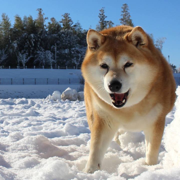 4048b569 545d 497b 893f ebbb85080dbe 1641701583868