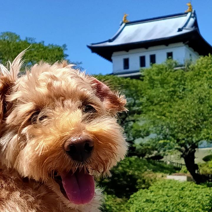 4048bf53 30bd 4b06 adba 985a1a28dd5f 1592724272588