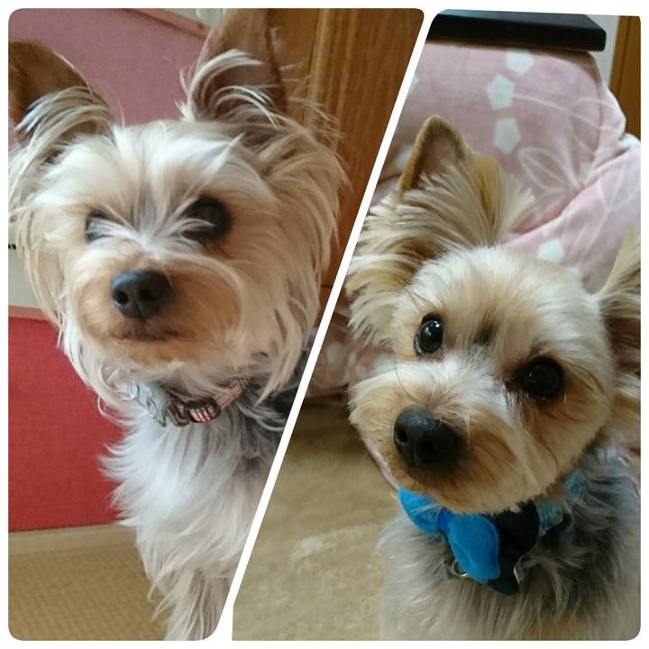 404901cc 2b9f 4be8 9006 f4bbce4c80f7 1526771222242