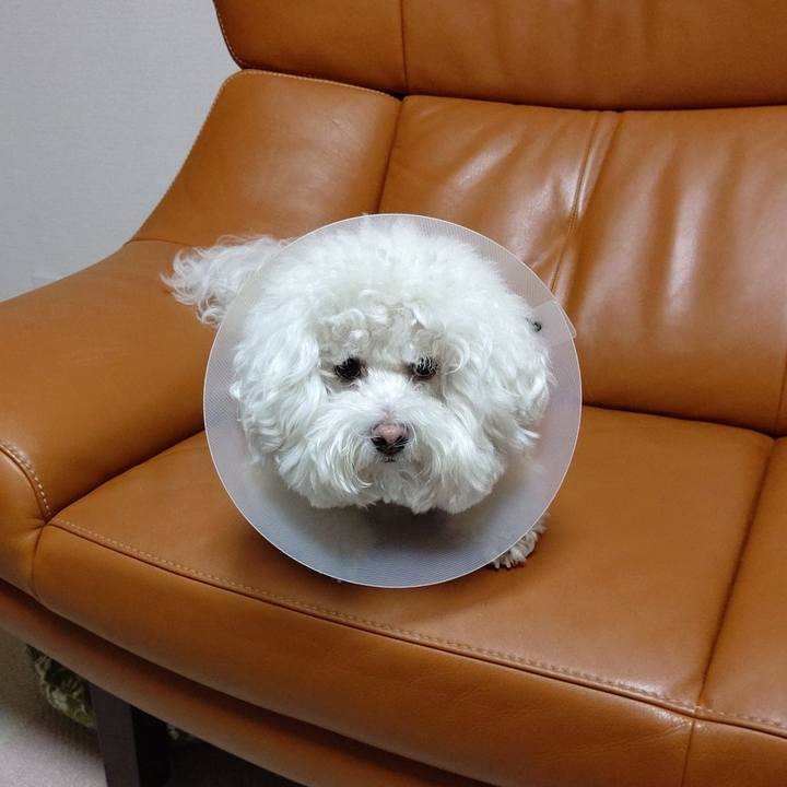 40490322 c71a 433e a90d f5a764354538 1637996598032