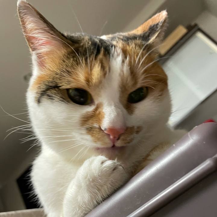 40490dce e43a 4c88 9892 4f9e4cd11475 1610581729994