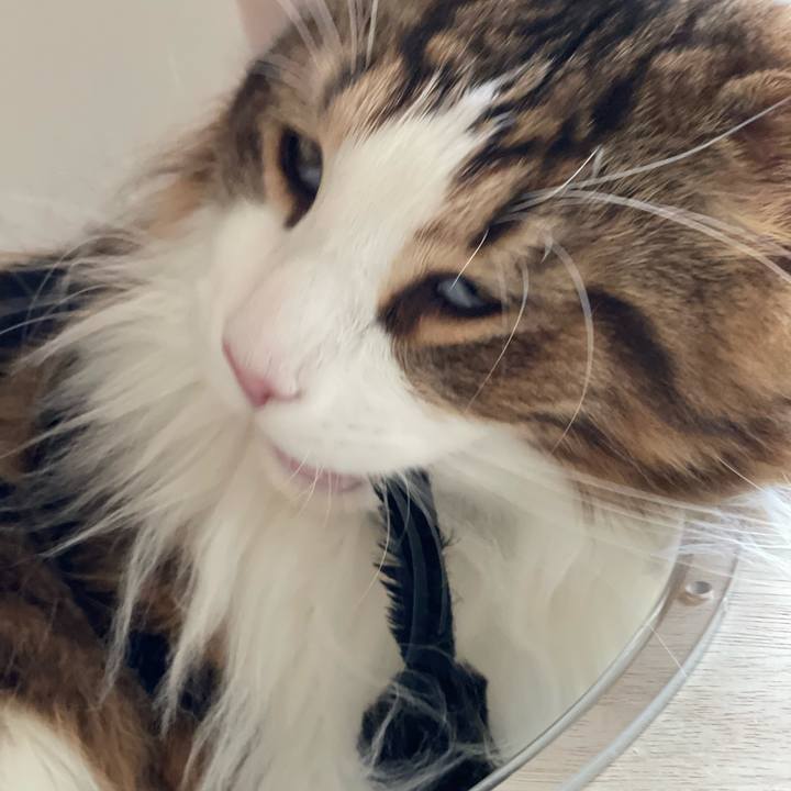 404934a1 44dd 4538 85c7 ba90507f3835 1650921991833