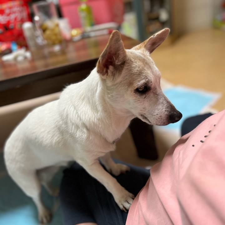 4049824f add5 4923 a965 e98e12a5c4f5 1699884012227