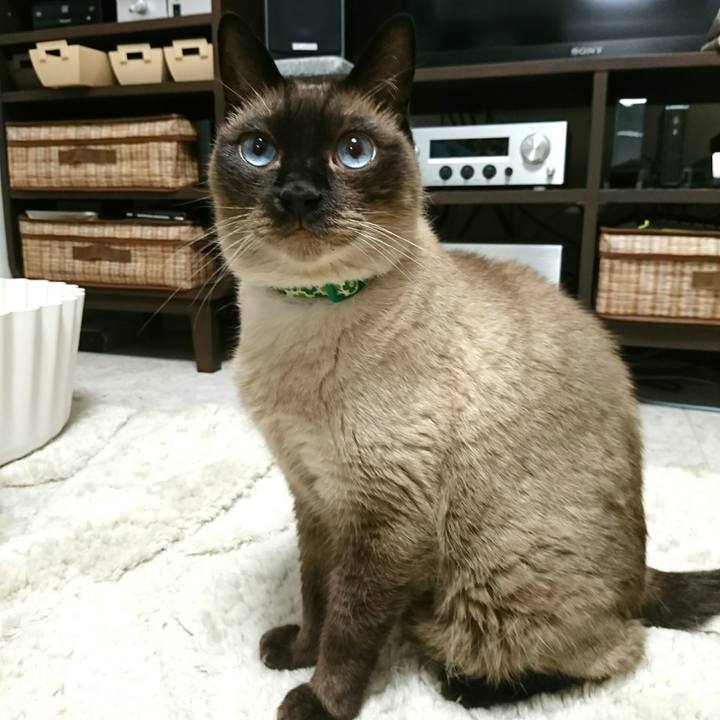 4049aa71 6761 420d 8a3a bf9f07a1f2fb 1528803135919