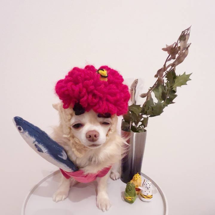 4049ae1a c3d0 43bd ae74 abb56de1e8d1 1738575568541