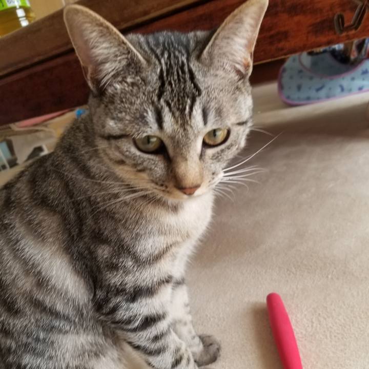 4049e387 7d8c 40fd 825c 267d90c265d2 1678876150675