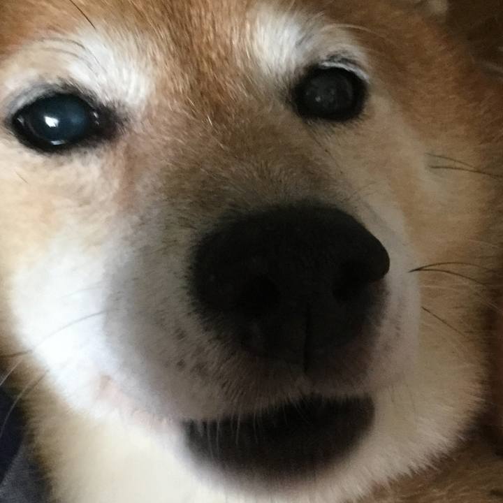 4049f830 4b15 4836 bd1c 9009dfc282e6 1597714240149