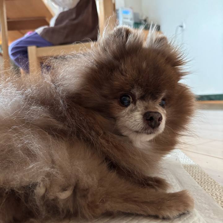 404a41e3 713e 444e 9e96 4bbe650537a4 1773007464530