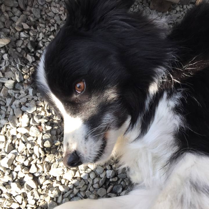 404a98d1 fd13 4ea0 b452 fba2ec1ca735 1548723455338