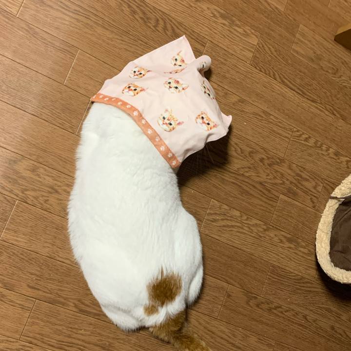 404aa6b4 4296 43e5 868b 2ef58f36bd73 1630935881778