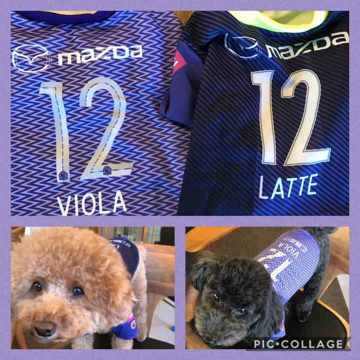 404aa879 7b6d 42b5 bbd0 8074eb47f120 1599988341876