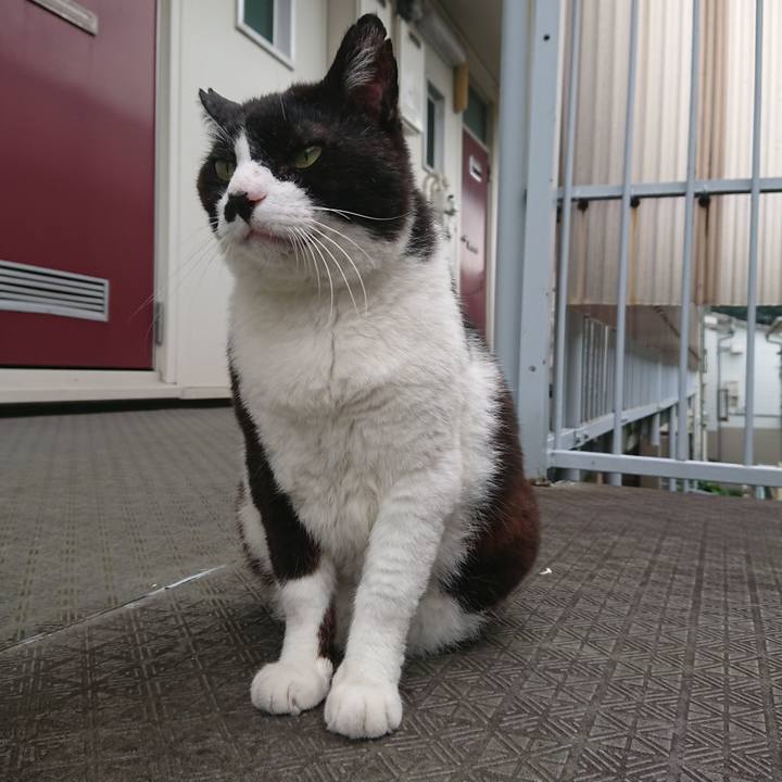 404ab574 0026 4196 82af 047ee50fdf60 1563678769608