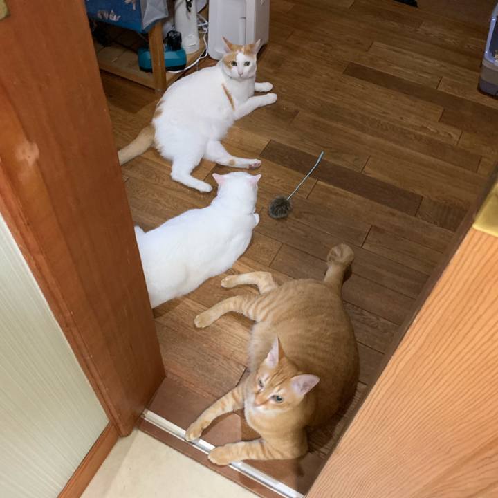 404af46b 4359 420a bb09 2ca1a68fd916 1564198591566