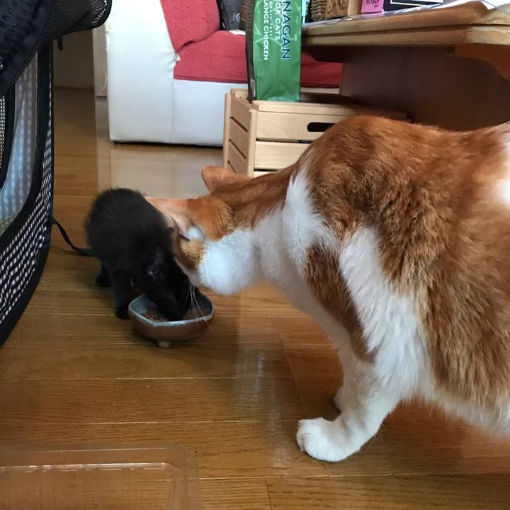 404b5bd8 3c05 4fc4 a6d5 cd9dc9d0c0ec 1561325269113