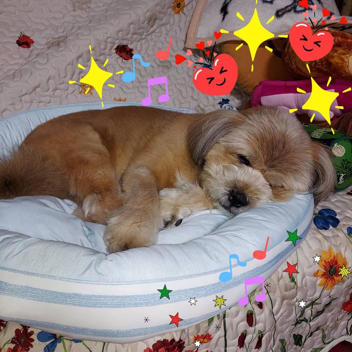 404ba877 b1dd 41b0 9213 c4e3f9da62a9 1622644394117