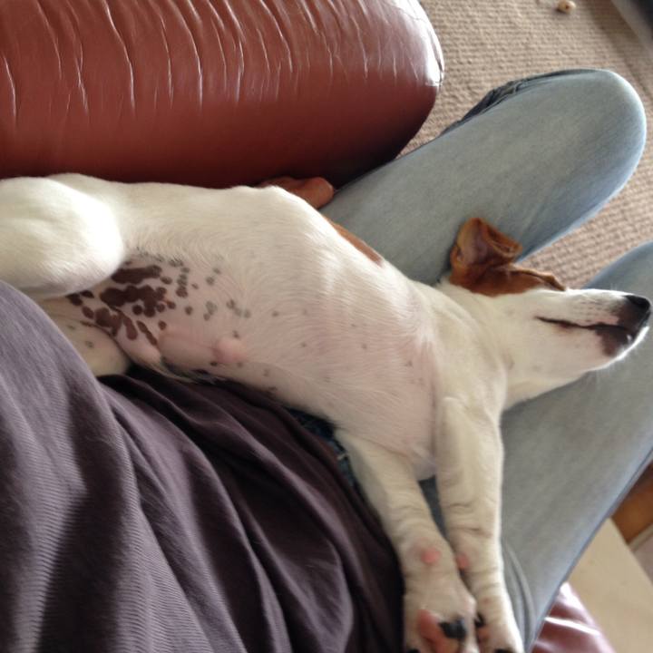 404bac44 d3fa 4118 8fd2 c20c4f9f4bb8 1536747221969