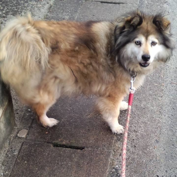 404bbf3c a202 4c36 a66a fe3412df24a7 1588183022439