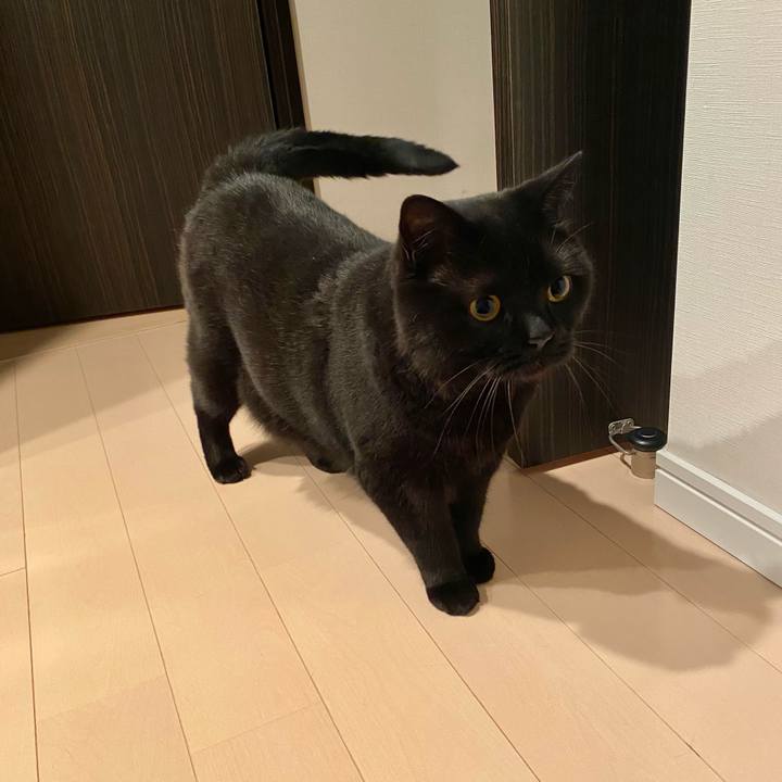 404bc308 f27e 44e1 b320 0df55ea2f216 1625913413223