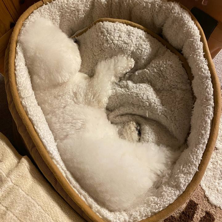 404be601 9ad8 41ab 9aad 2e6ae9cbae96 1644928525417