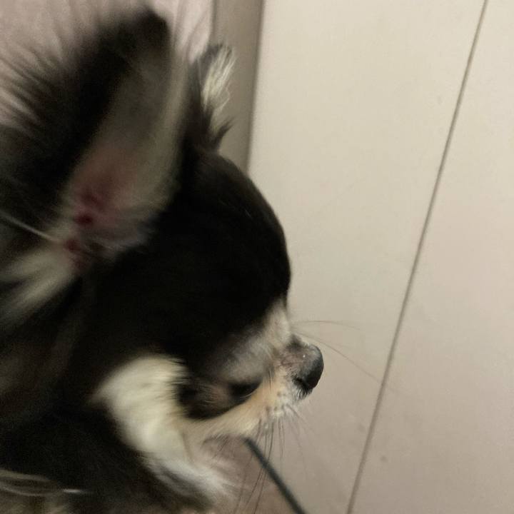 404c121d 2daa 4173 8597 c842cc6bf048 1642823812002