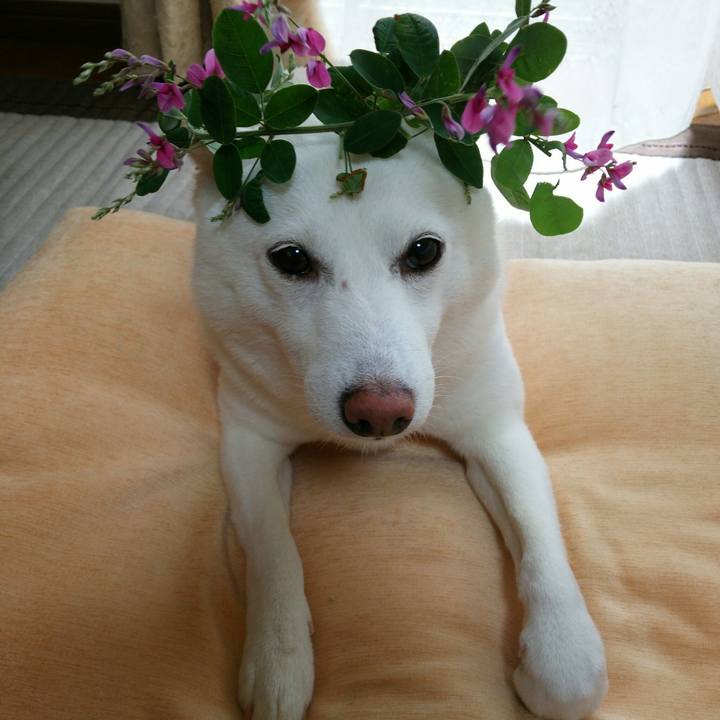 404c3eb9 5362 4811 925f 43d5fe7606e0 1562294950065