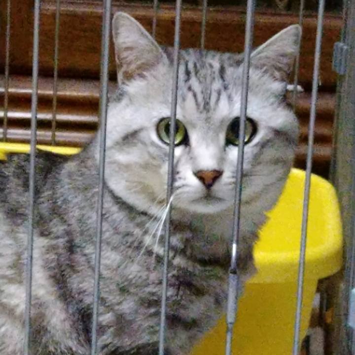 404c4566 152d 42f1 a7f1 86c576870c90 1587473487705