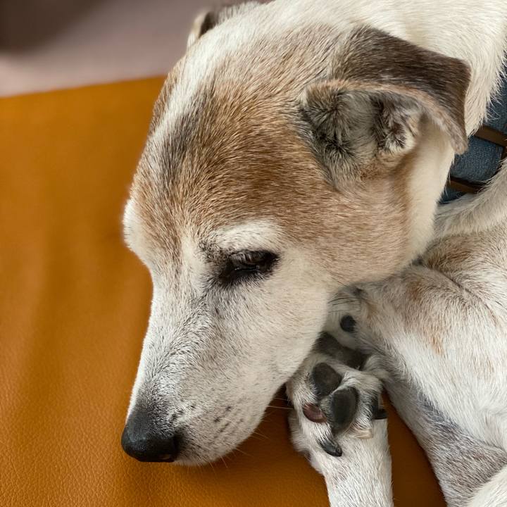 404c495f 8779 491d aefd e5e9dd087672 1635057398588