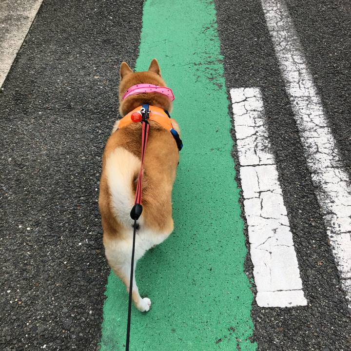 404c563f 5428 45b1 bd17 1de9e94549b4 1604889827101