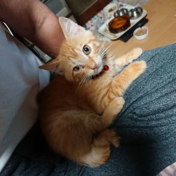 404c727a 738c 4621 af1f 472ac22544dd 1629929582603