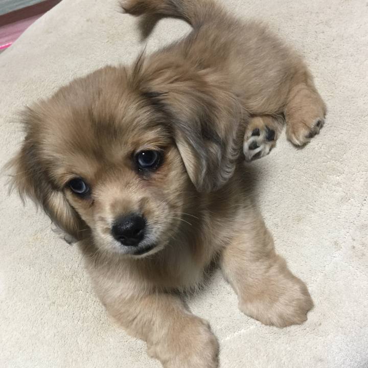 404c9b87 187d 443d b8a4 f72c9b05fecb 1539554801379