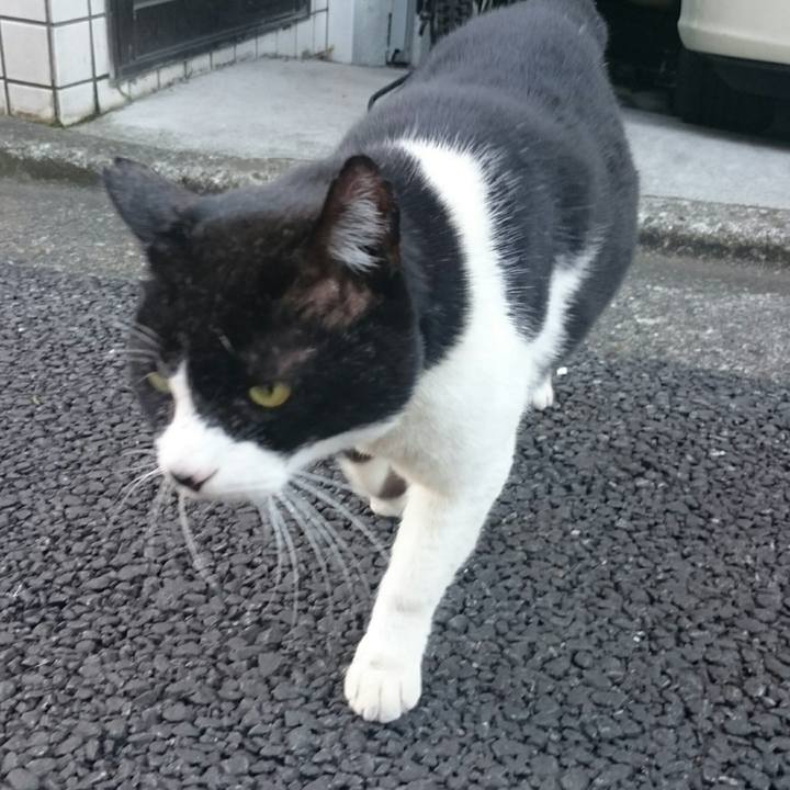 404cbb8a 9fd2 4671 a5bf a65556405dea 1512797235623